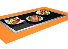 Купить подогреваемая столешница виола пс-1025б встроен. – цена от завода, доставка до двери | RuOborudovanie.ru